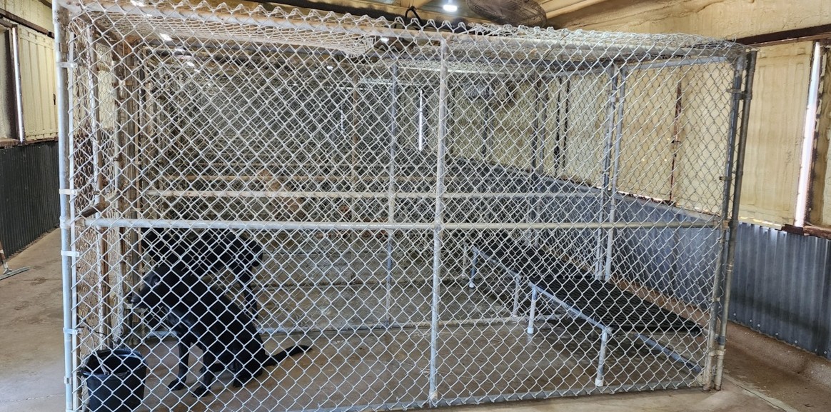 Clean inside dog kennel facility