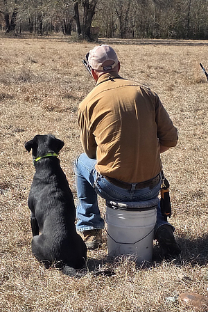 Dog training at Cross Creek Kennel