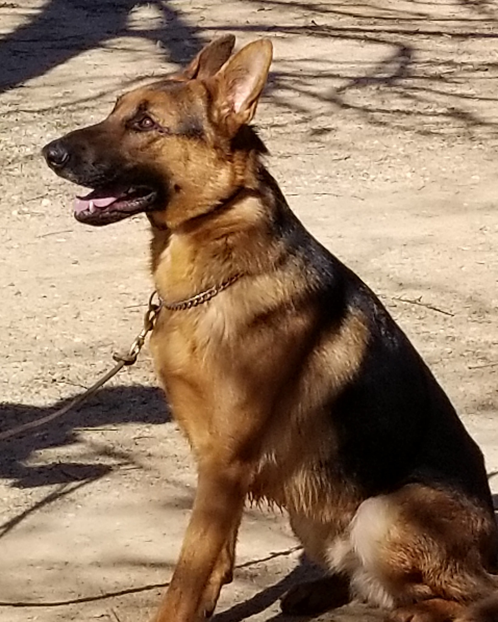 Handler working with retriever