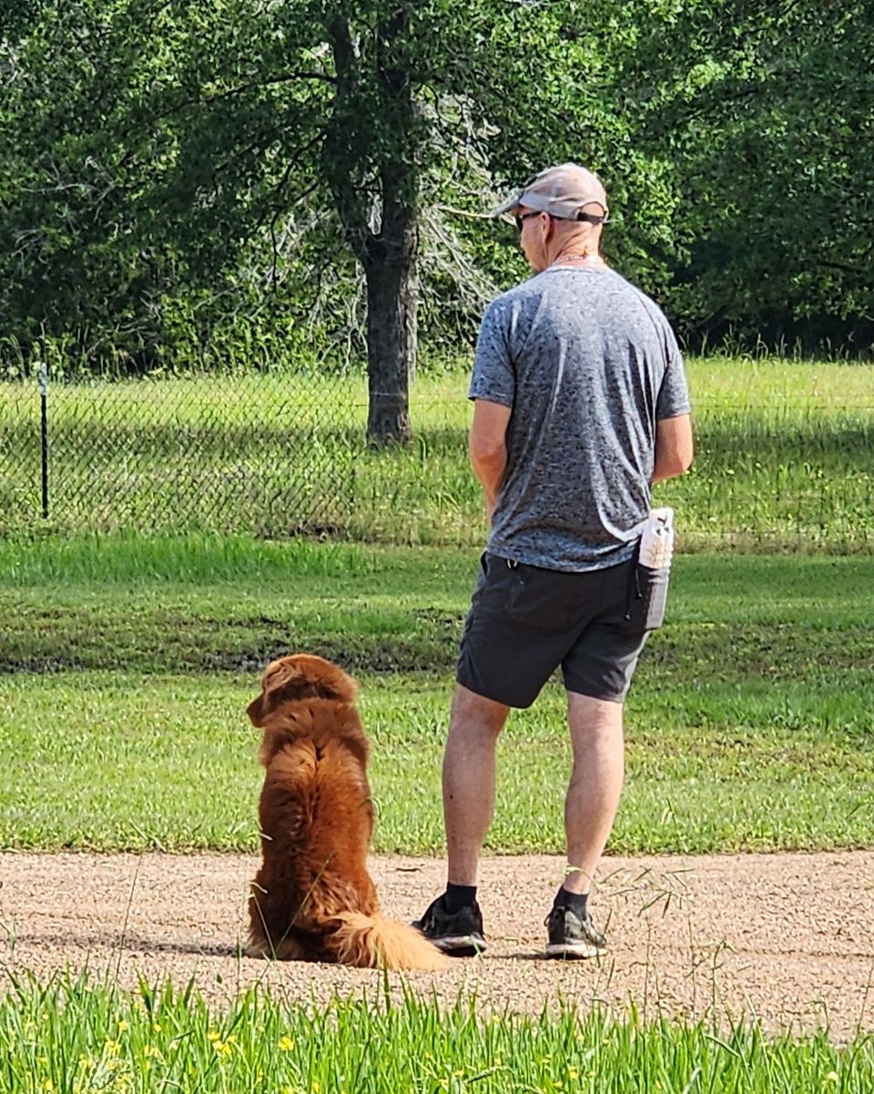 Stage 1: Obedience & Field Introduction