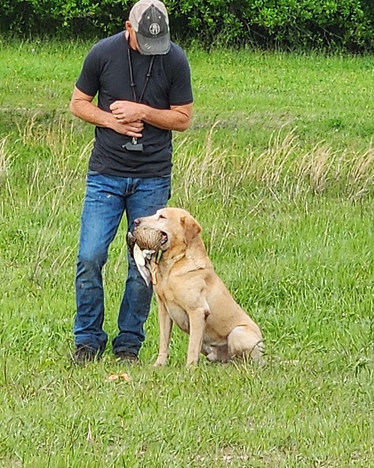 Stage 2: Mouth Work / Force Fetch