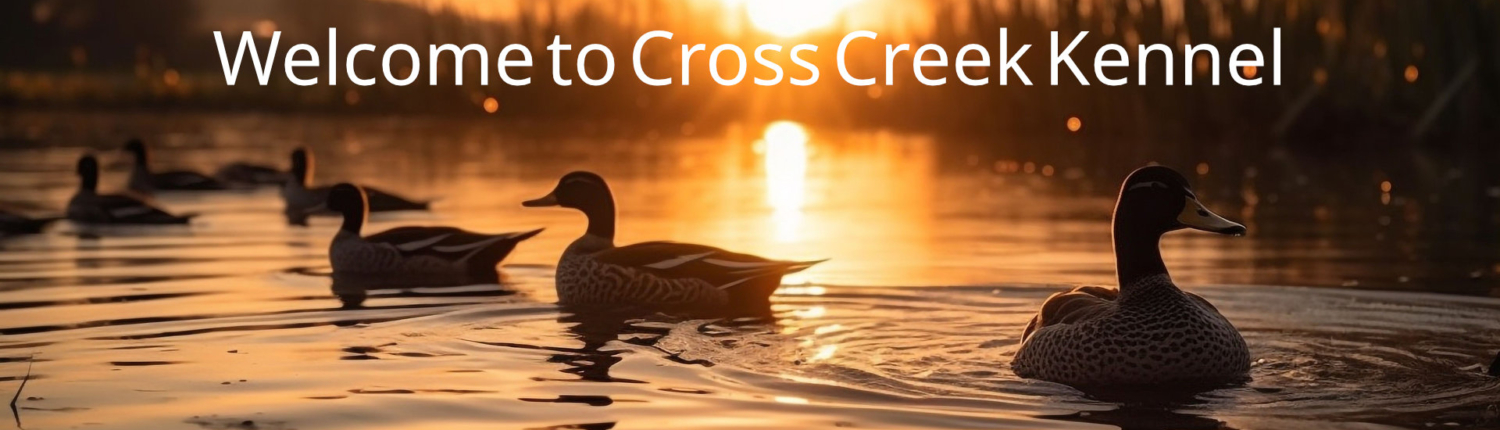 Cross Creek Kennel